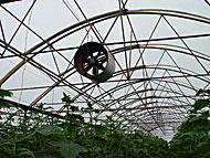 Greenhouse fan
