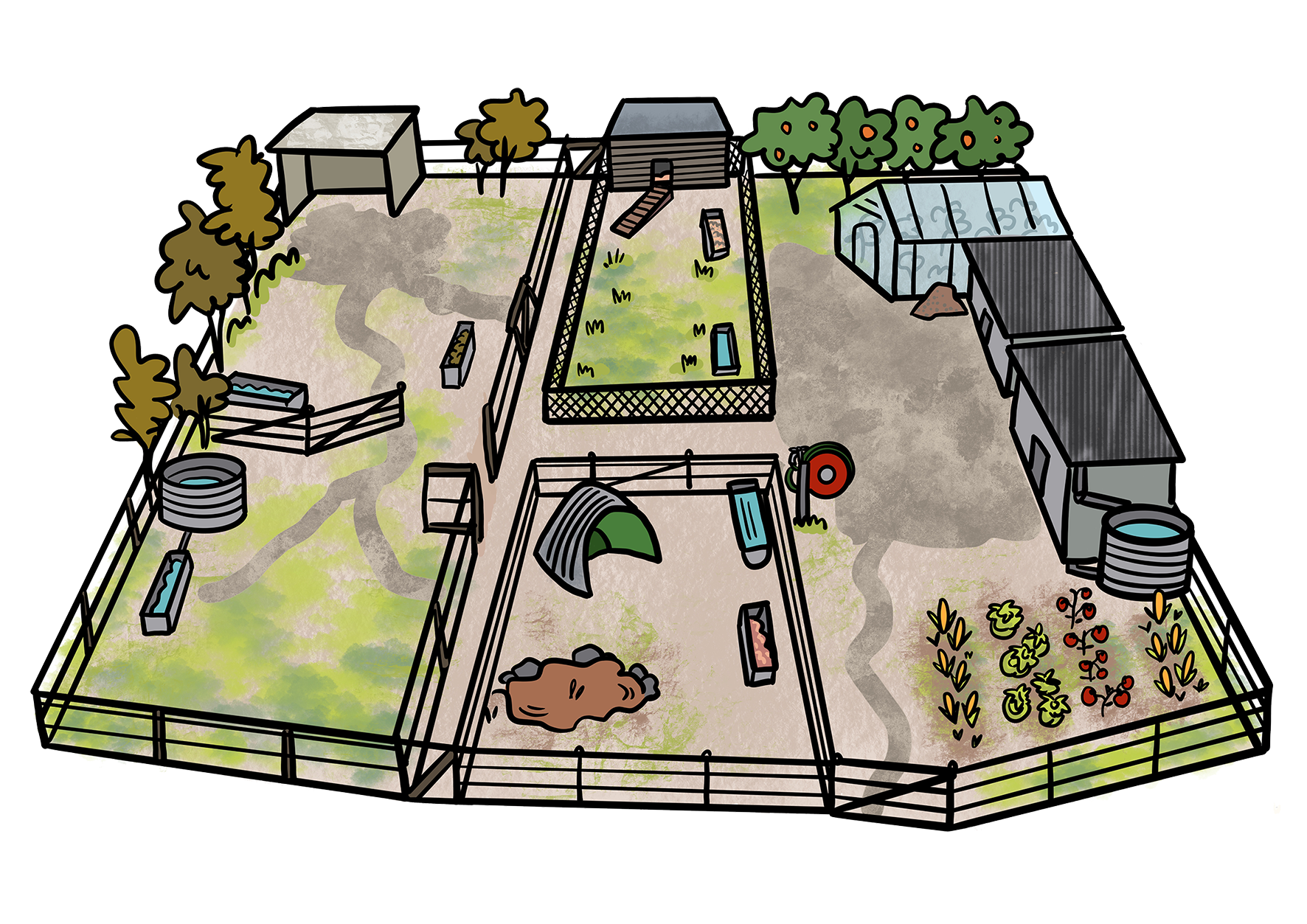 Illustration of a school farm with animal pens ans shelter, water, sheds, greenhouse, vege garden, orchard