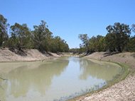 The Darling River