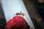 QFF on raspberry sml