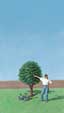 Well tended fruit tree sml