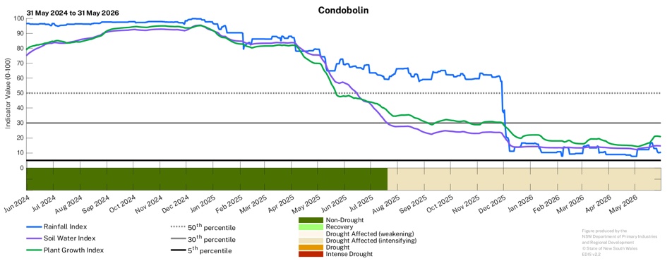 Image for Drought History - Condobolin