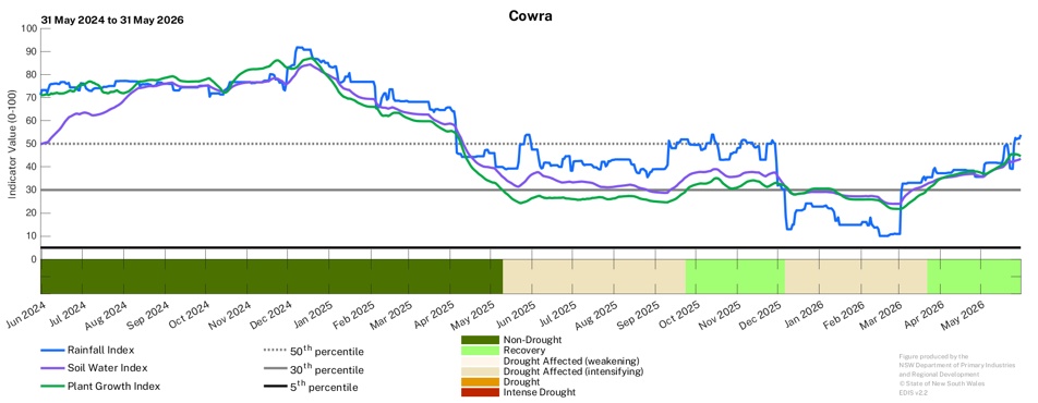 Image for Drought History - Cowra