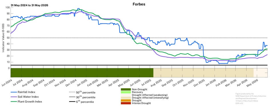 Image for Drought History - Forbes