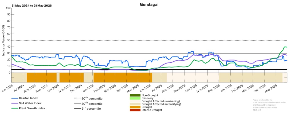 Image for Drought History - Gundagai