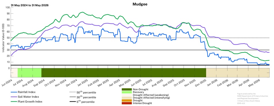 Image for Drought History - Mudgee