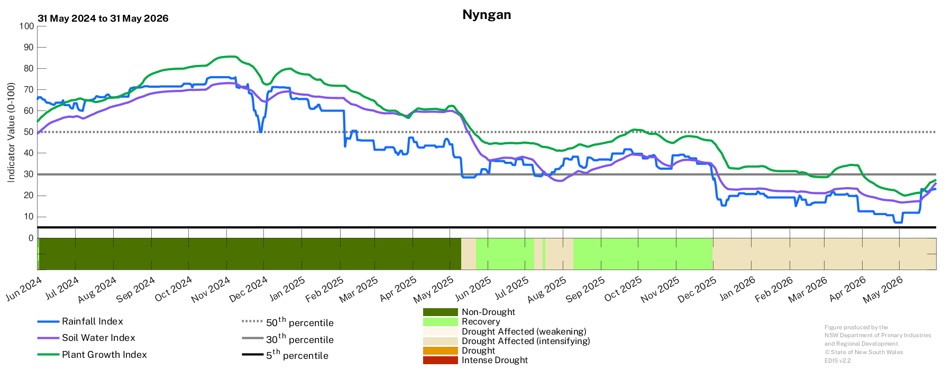 Image for Drought History - Nyngan