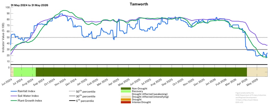 Image for Drought History - Tamworth