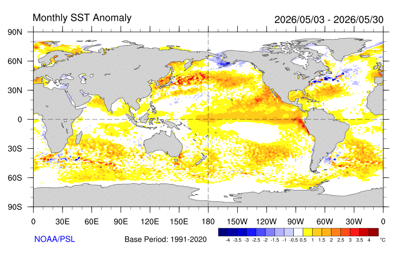 Image for Sea surface temperatures